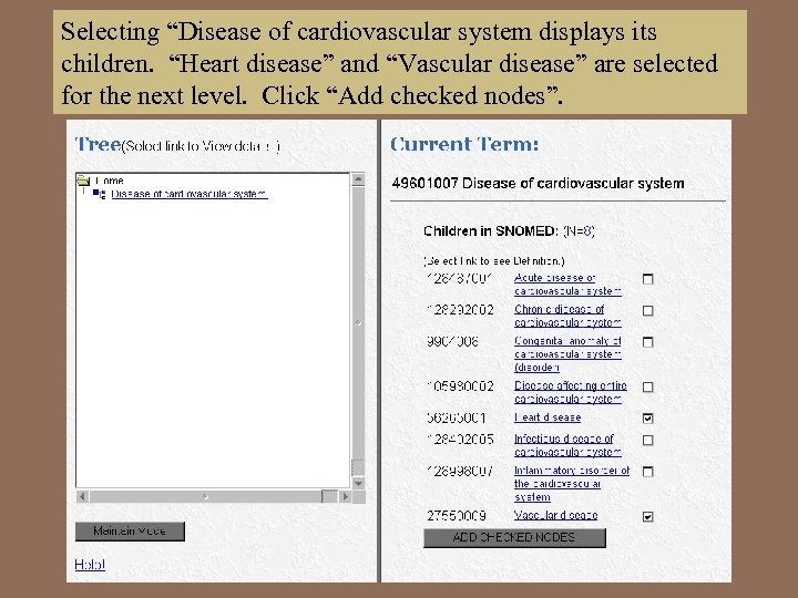 Selecting “Disease of cardiovascular system displays its children. “Heart disease” and “Vascular disease” are