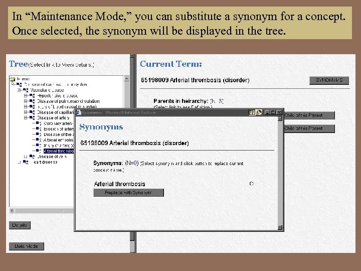 In “Maintenance Mode, ” you can substitute a synonym for a concept. Once selected,