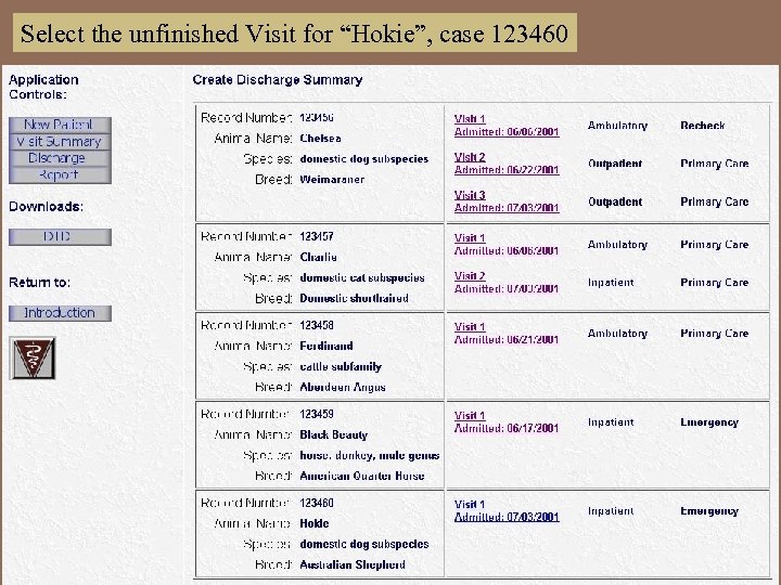 Select the unfinished Visit for “Hokie”, case 123460 