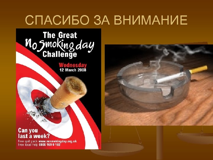 СПАСИБО ЗА ВНИМАНИЕ 