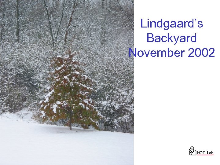 Lindgaard’s Backyard November 2002 51 