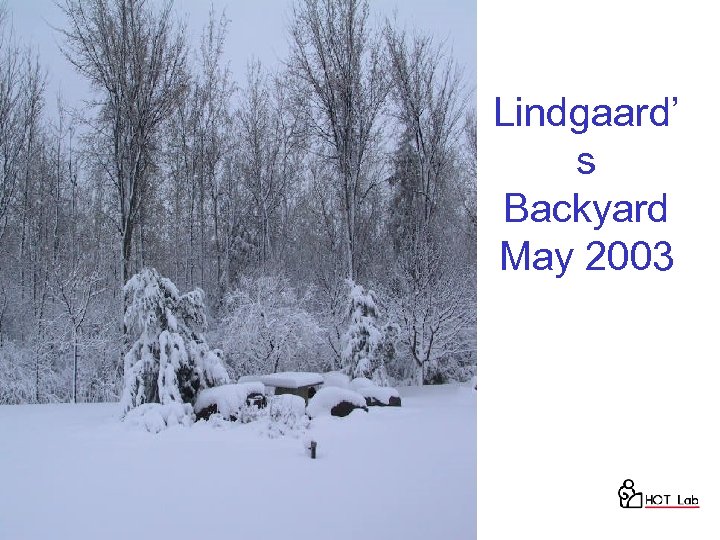 Lindgaard’ s Backyard May 2003 52 