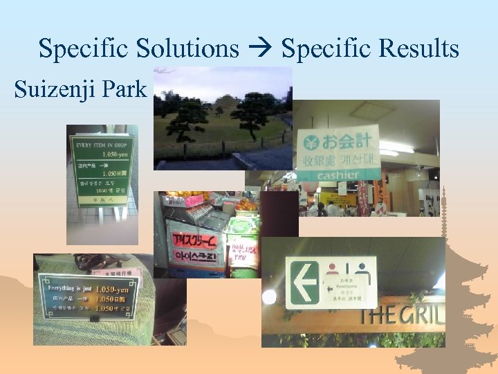 Specific Solutions Specific Results Suizenji Park 