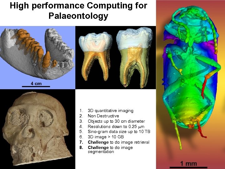 High performance Computing for Palaeontology 1. 2. 3. 4. 5. 6. 7. 8. 3