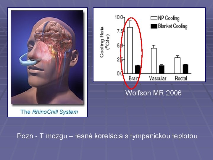 Wolfson MR 2006 Pozn. - T mozgu – tesná korelácia s tympanickou teplotou 