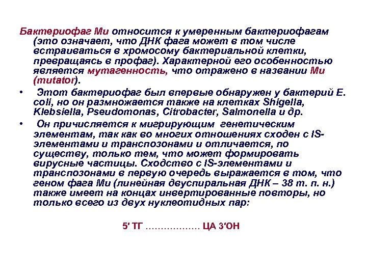 Бактериофаг Mu относится к умеренным бактериофагам (это означает, что ДНК фага может в том