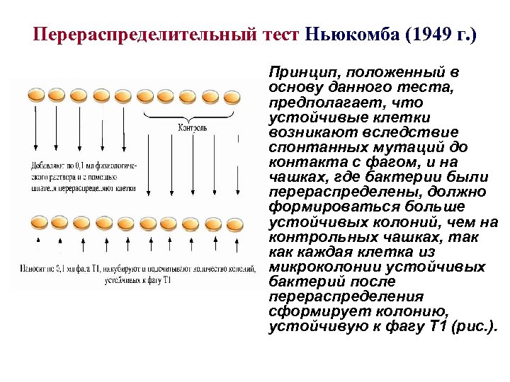 Перераспределительный тест Ньюкомба (1949 г. ) Принцип, положенный в основу данного теста, предполагает, что