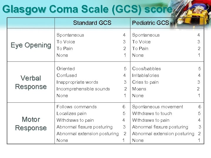 Glasgow Coma Scale (GCS) score Standard GCS Pediatric GCS Spontaneous To Voice To Pain