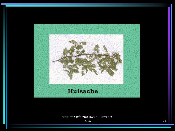  32 רובינשטיין-הגישה הטיפולית לדיזנטריה 6002 