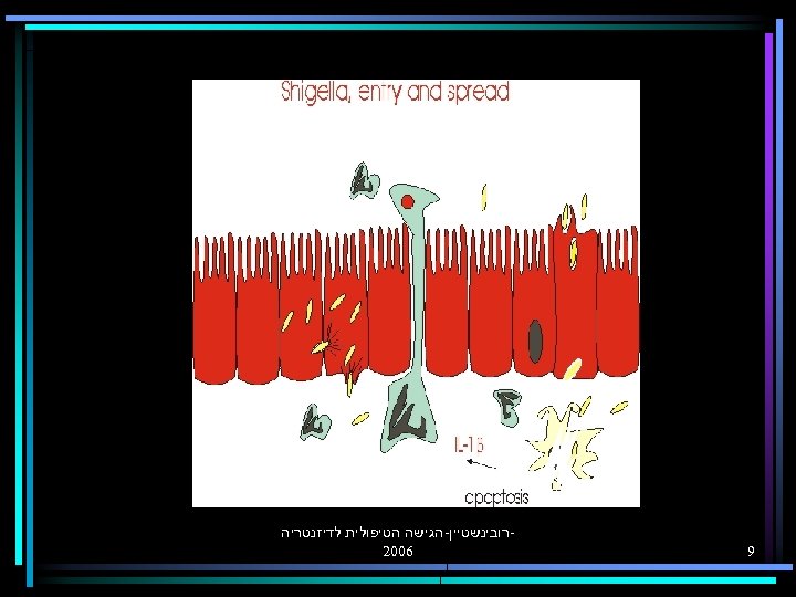  9 רובינשטיין-הגישה הטיפולית לדיזנטריה 6002 