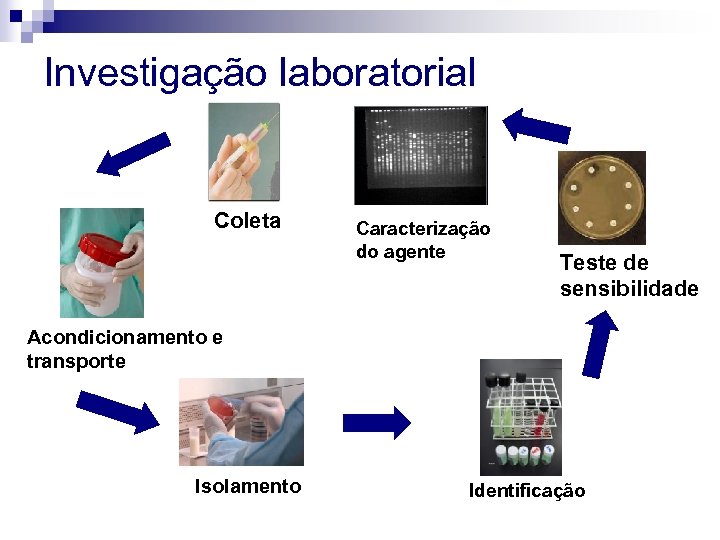 Investigação laboratorial Coleta Caracterização do agente Teste de sensibilidade Acondicionamento e transporte Isolamento Identificação