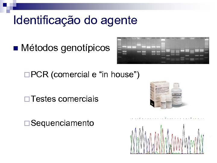 Identificação do agente n Métodos genotípicos ¨ PCR (comercial e “in house”) ¨ Testes