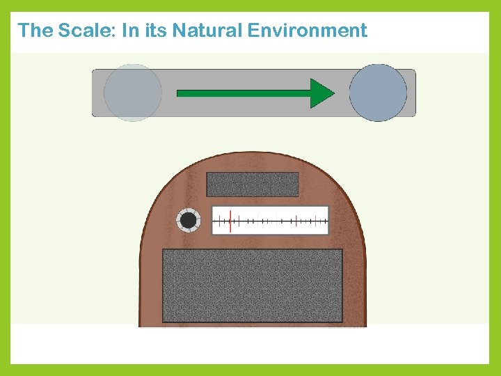 The Scale: In its Natural Environment 