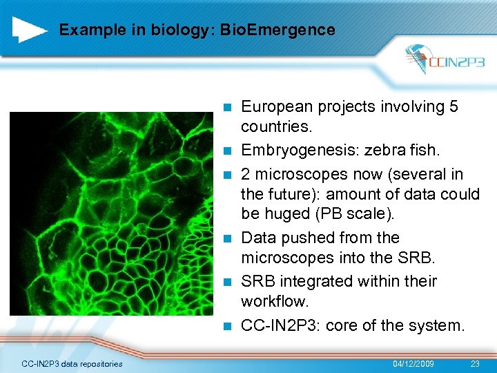 Example in biology: Bio. Emergence n n n CC-IN 2 P 3 data repositories