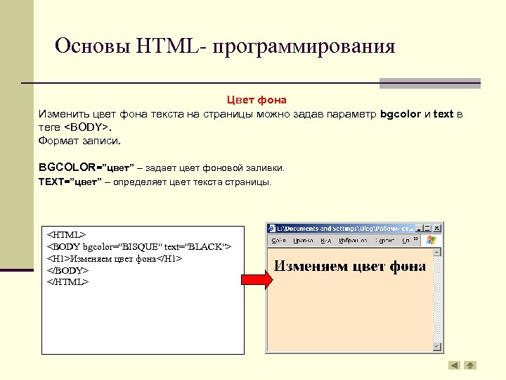 Основы html