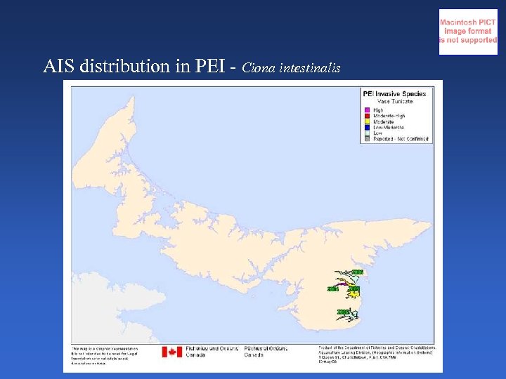 AIS distribution in PEI - Ciona intestinalis 