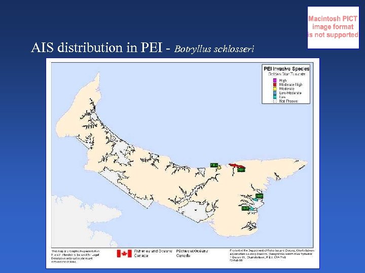 AIS distribution in PEI - Botryllus schlosseri 