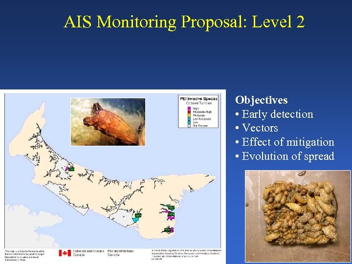 AIS Monitoring Proposal: Level 2 Objectives • Early detection • Vectors • Effect of