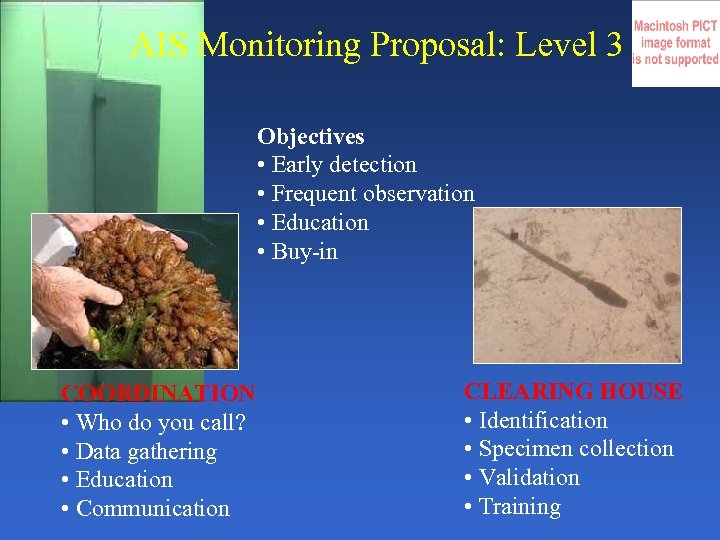 AIS Monitoring Proposal: Level 3 Objectives • Early detection • Frequent observation • Education