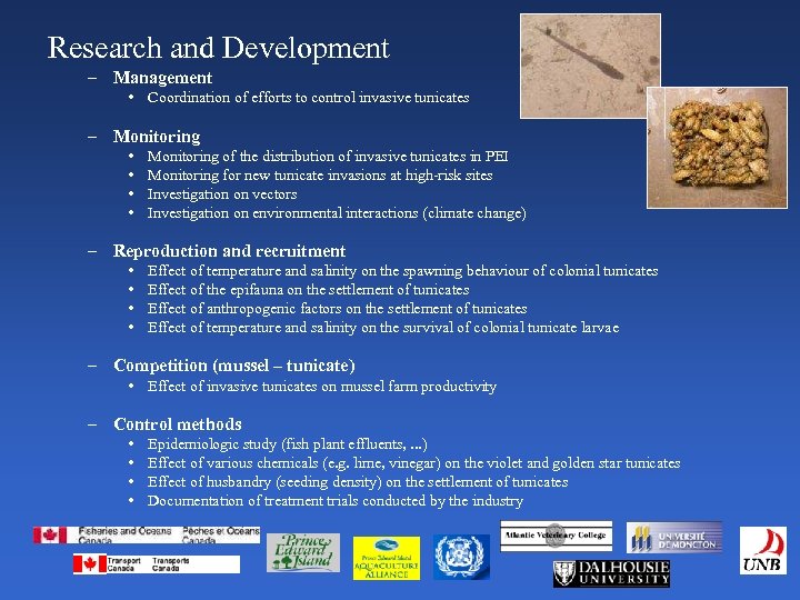Research and Development – Management • Coordination of efforts to control invasive tunicates –
