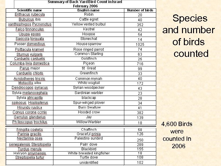  Species and number of birds counted 4, 600 Birds were counted In 2006