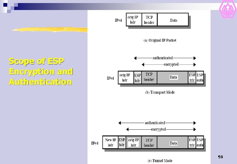 Scope of ESP Encryption and Authentication 59 