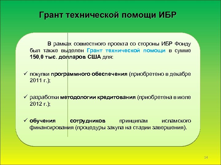 Грант технической помощи ИБР В рамках совместного проекта со стороны ИБР Фонду был также