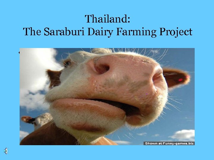 Thailand: The Saraburi Dairy Farming Project • 