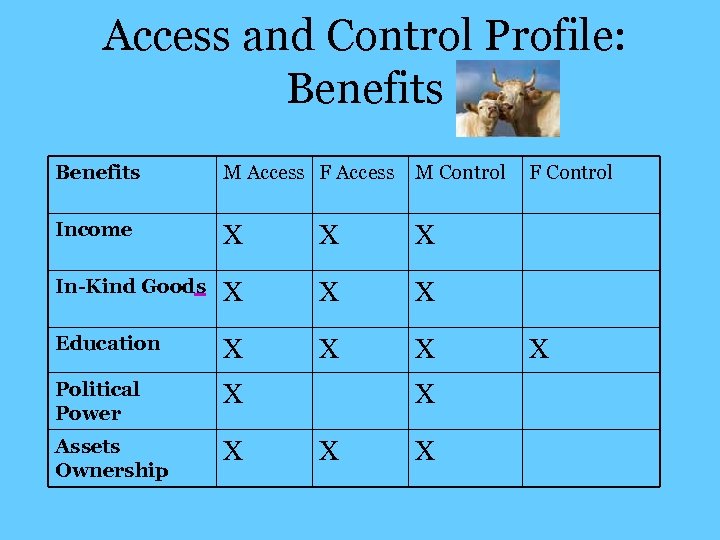 Access and Control Profile: Benefits M Access F Access M Control Income X X