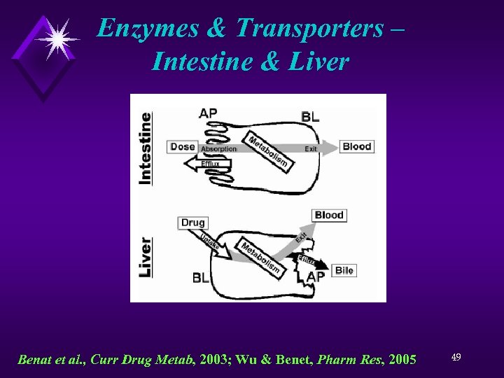 Enzymes & Transporters – Intestine & Liver Benat et al. , Curr Drug Metab,