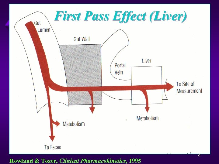 First Pass Effect (Liver) Rowland & Tozer, Clinical Pharmacokinetics, 1995 8 