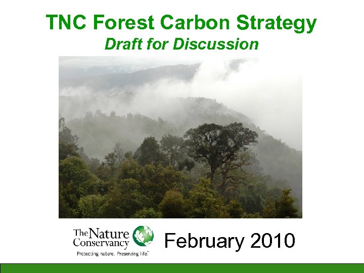 TNC Forest Carbon Strategy Draft for Discussion February 2010 