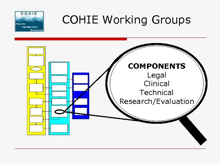 COHIE Working Groups COMPONENTS Legal Clinical Technical Research/Evaluation 