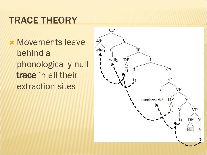 TRACE THEORY Movements leave behind a phonologically null trace in all their extraction sites