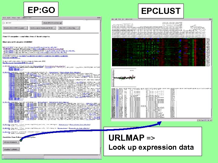 EP: GO EPCLUST URLMAP => Look up expression data 