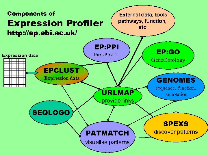 Components of Expression Profiler http: //ep. ebi. ac. uk/ External data, tools pathways, function,