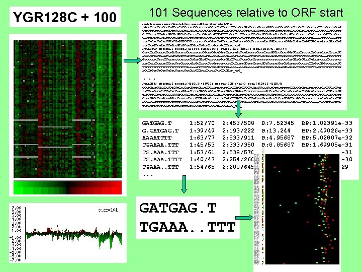 YGR 128 C + 100 101 Sequences relative to ORF start >YAL 036 C