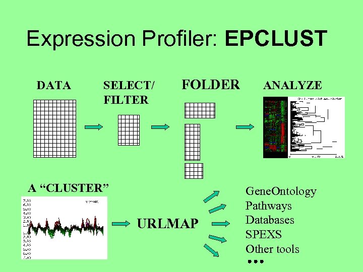 Expression Profiler: EPCLUST DATA SELECT/ FILTER FOLDER A “CLUSTER” URLMAP ANALYZE Gene. Ontology Pathways