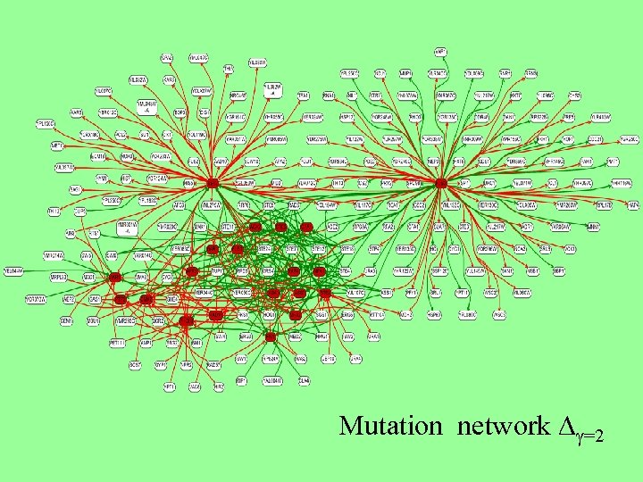 Mutation network D =2 