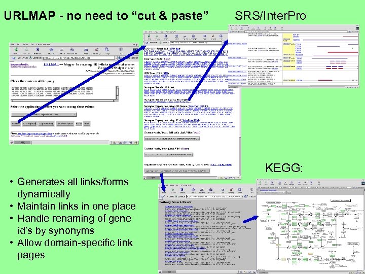URLMAP - no need to “cut & paste” SRS/Inter. Pro KEGG: • Generates all