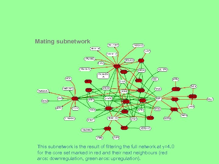 Mating subnetwork This subnetwork is the result of filtering the full network at =4.