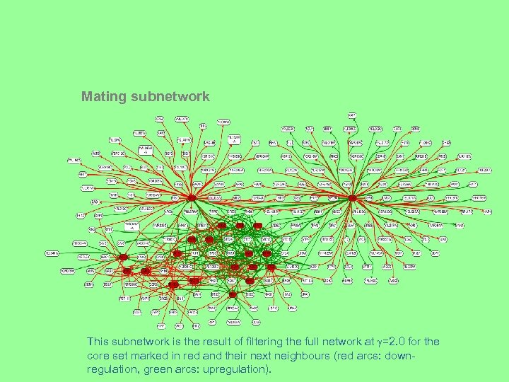 Mating subnetwork This subnetwork is the result of filtering the full network at =2.