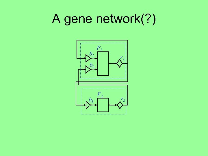 A gene network(? ) b 1 F 1 r 1 b 2 b 3