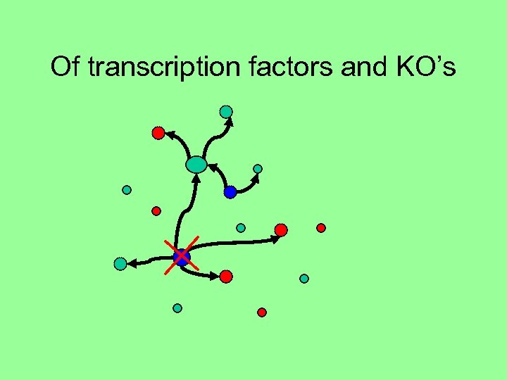 Of transcription factors and KO’s 