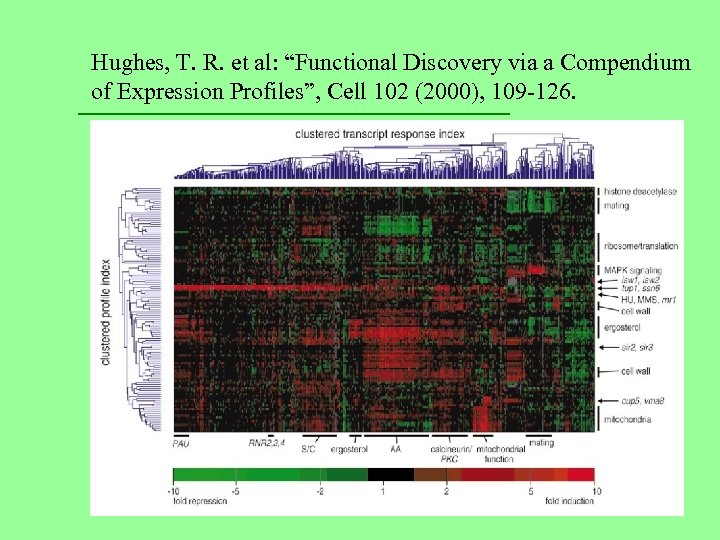 Hughes, T. R. et al: “Functional Discovery via a Compendium of Expression Profiles”, Cell