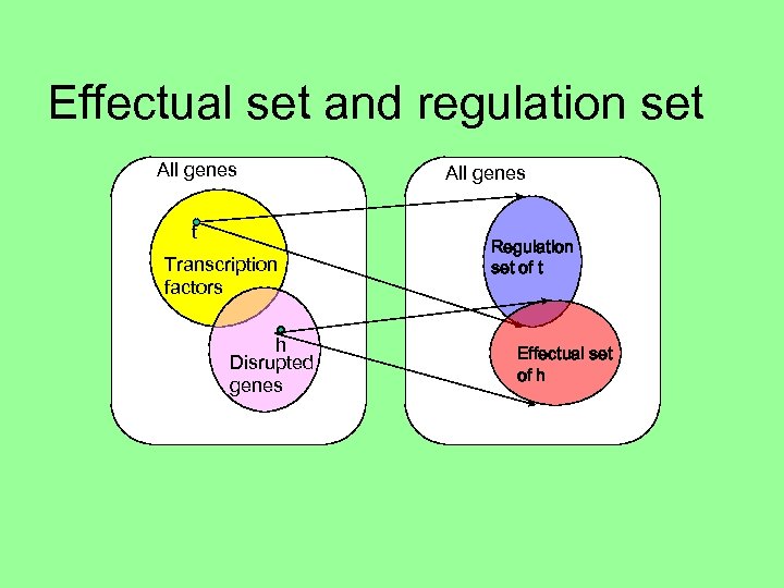 Effectual set and regulation set All genes t Transcription factors h Disrupted genes All