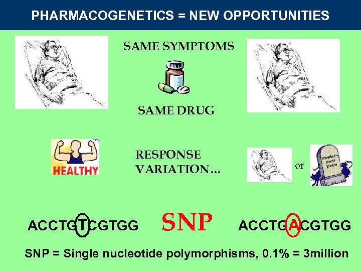 PHARMACOGENETICS = NEW OPPORTUNITIES SAME SYMPTOMS SAME DRUG RESPONSE VARIATION… ACCTGTCGTGG SNP or ACCTGACGTGG