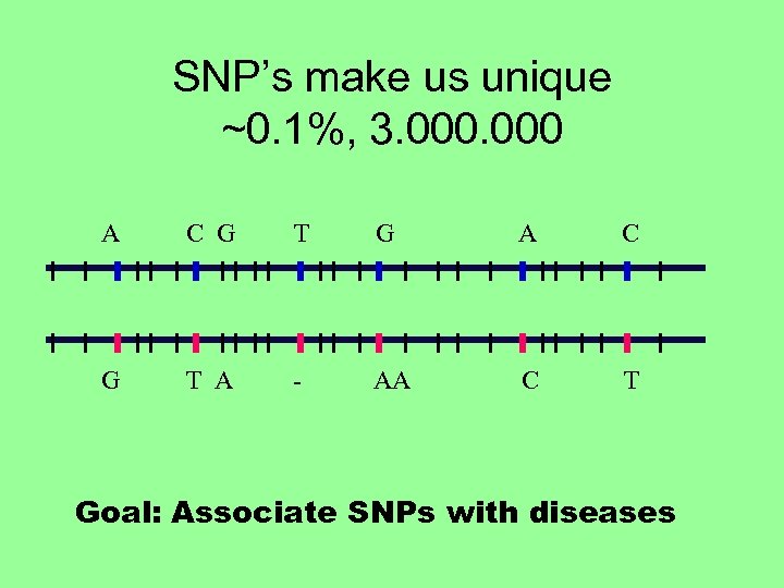 SNP’s make us unique ~0. 1%, 3. 000 A C G T G A