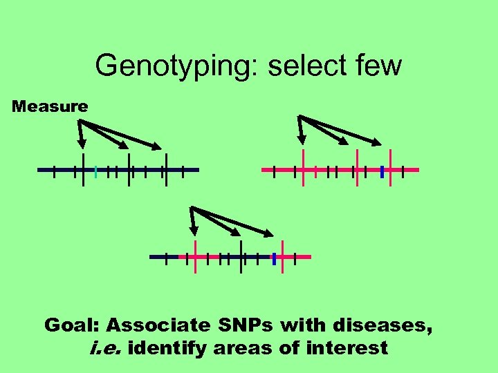 Genotyping: select few Measure Goal: Associate SNPs with diseases, i. e. identify areas of