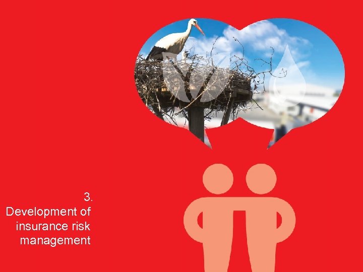 3. Development of insurance risk management 